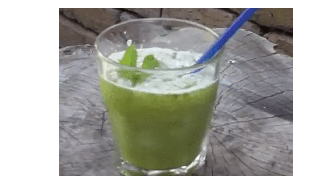 Mint Lemonade Recipe with the Thermomix