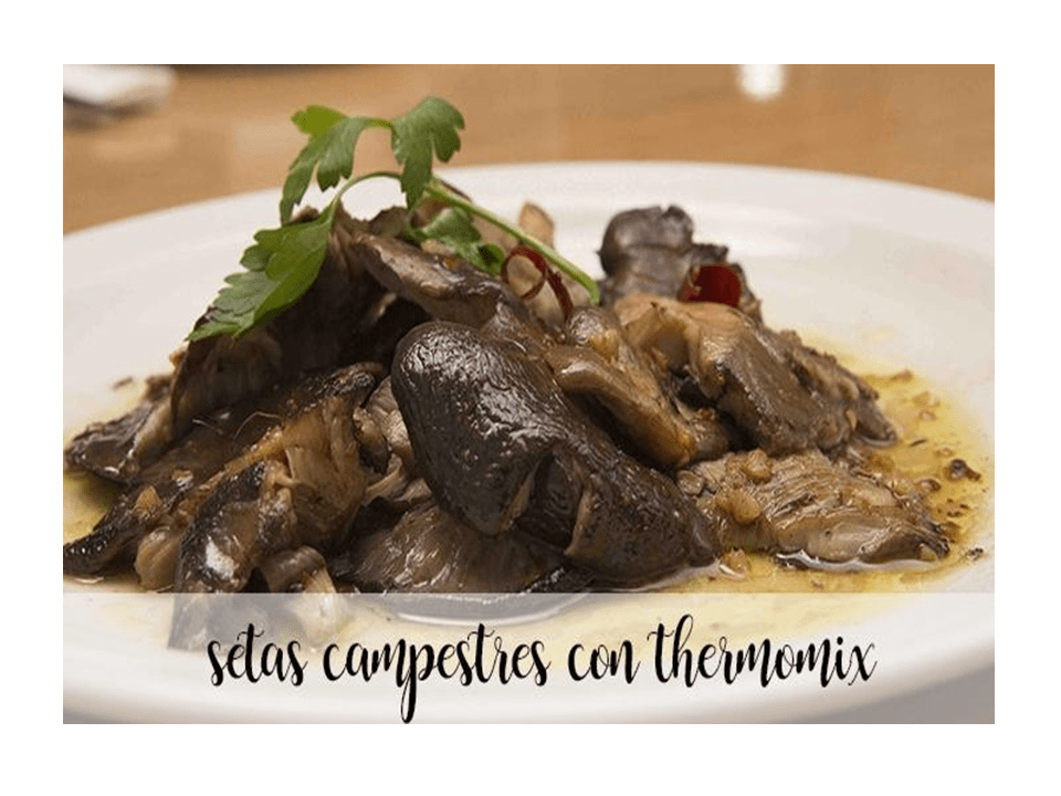 Country mushrooms with thermomix