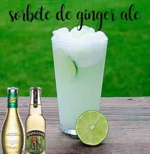 Ginger ale or ginger sorbet with thermomix