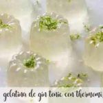Gin and tonic jelly with Thermomix