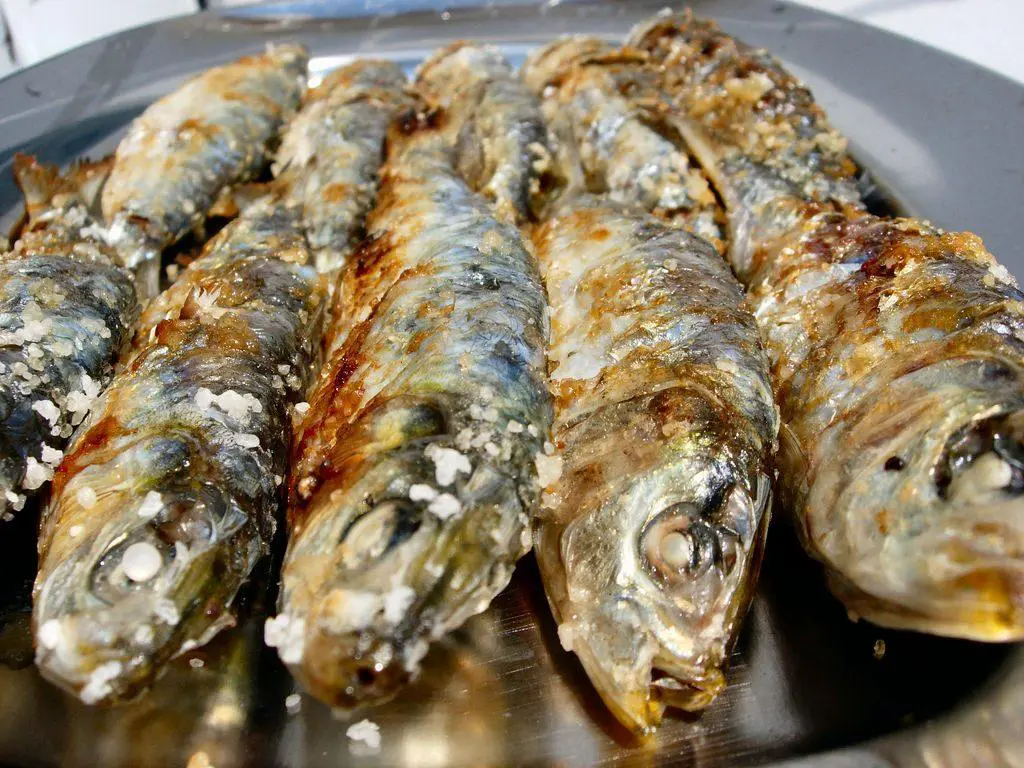 Sardines with salt in the Thermomix