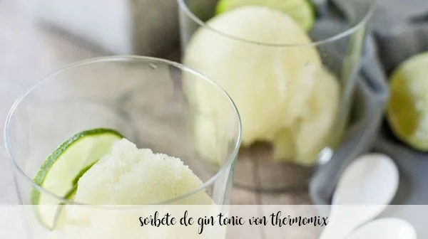 Gin Tonic Sorbet With Thermomix Thermomix Recipes