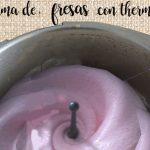 Frozen strawberry foam with thermomix
