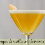 Seville water with Thermomix