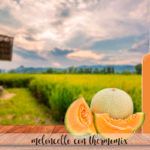 Meloncello - Melon liqueur with Thermomix