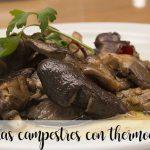 wild mushrooms with thermomix
