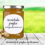 ginger jam with thermomix
