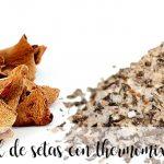 salt of dehydrated mushrooms with thermomix