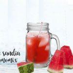 Watermelon water with Thermomix