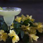 Margarita in the Thermomix