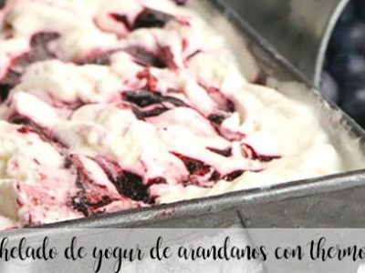 Yogurt and blueberry ice cream with thermomix