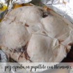 Swordfish in papillote with Thermomix