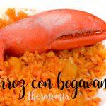 Rice with lobster with thermomix