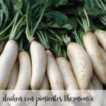 Daikon with thermomix peppers