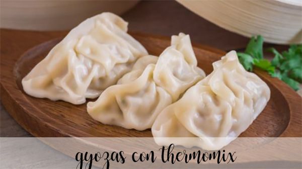 Gyozas, Japanese dumplings Thermomix