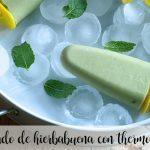 peppermint ice cream with thermomix