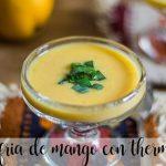 Cold mango soup with thermomix