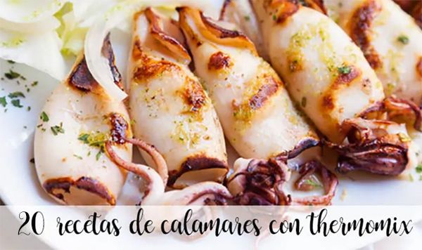 20 recipes with squid with thermomix