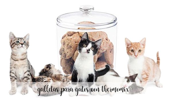Cat biscuits with Thermomix