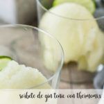 gin and tonic sorbet with thermomix