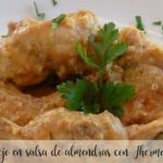 Rabbit in almond sauce with Thermomix
