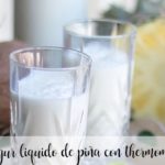liquid pineapple yogurt with thermomix
