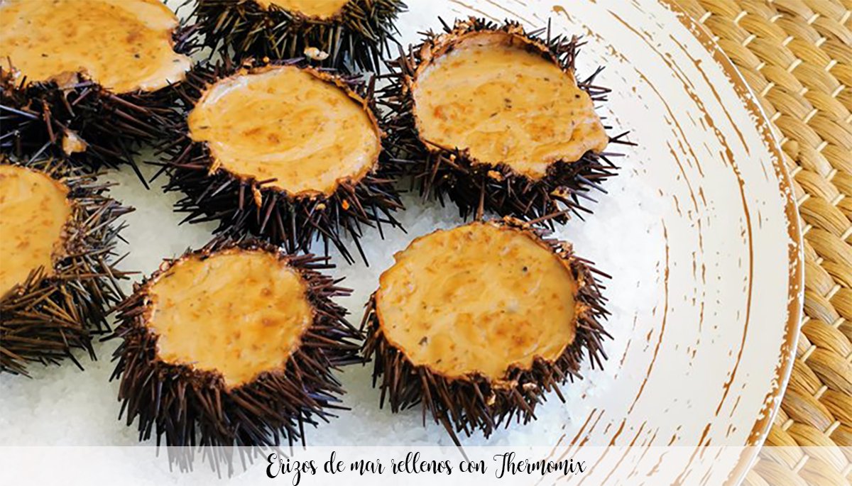 Stuffed sea urchins with Thermomix