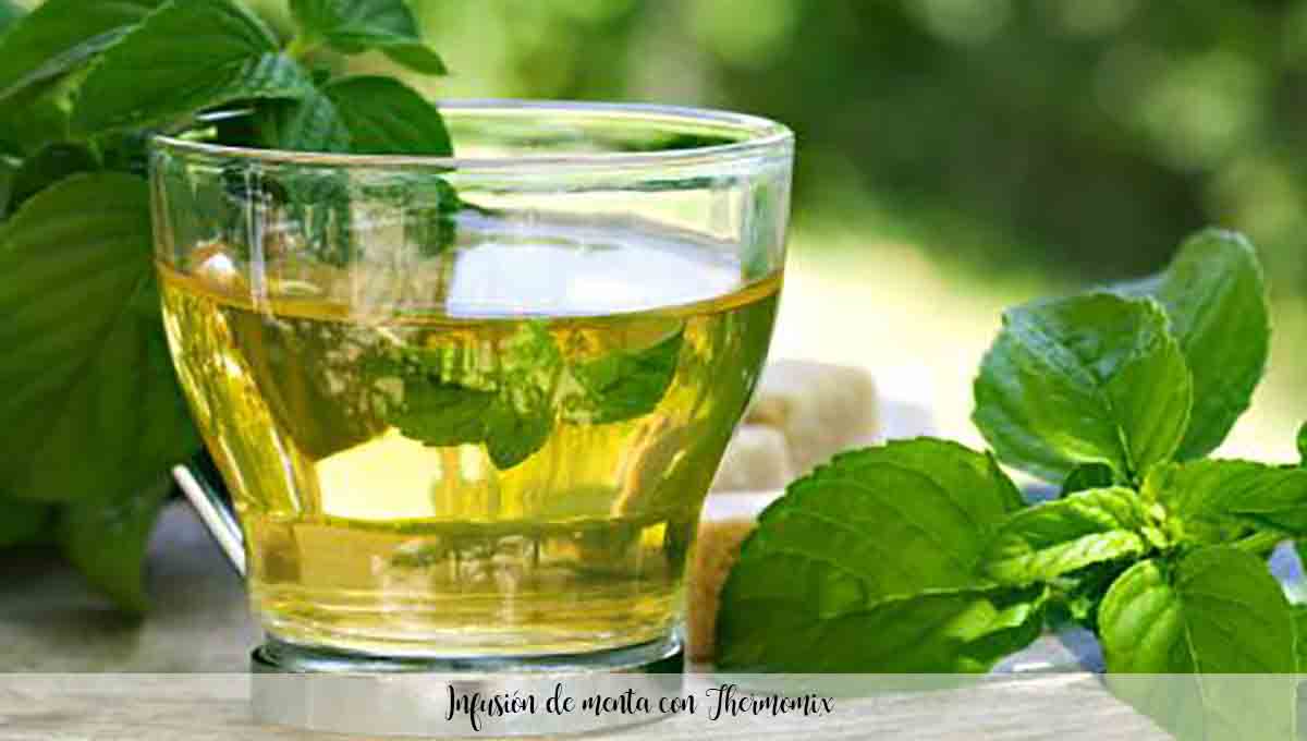 Mint infusion with Thermomix