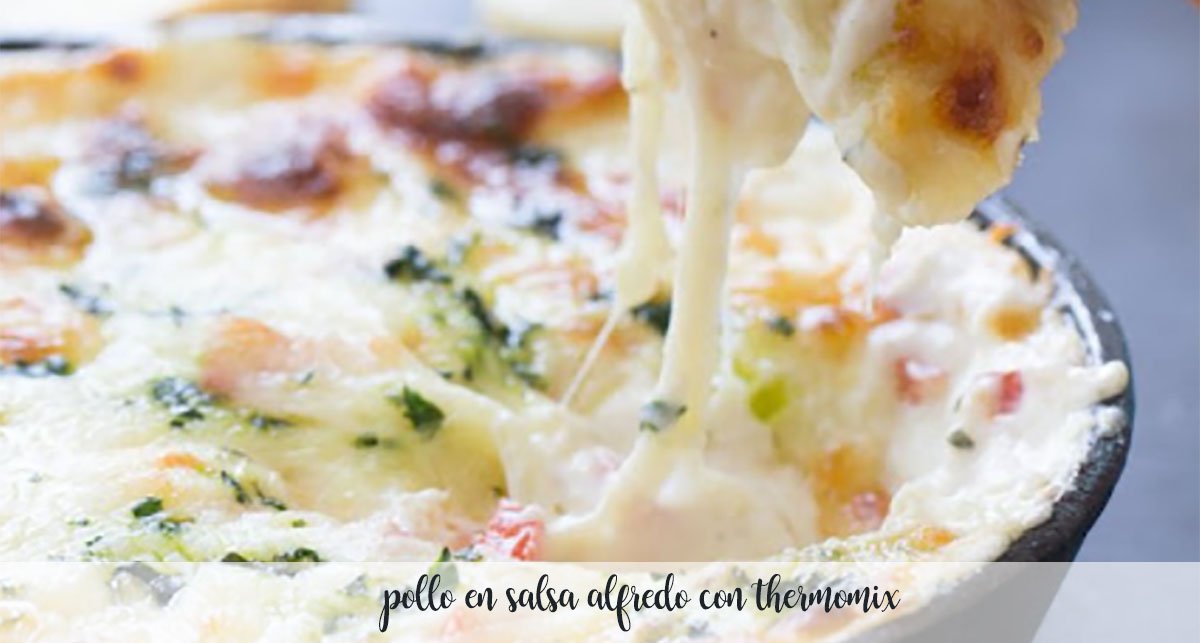 Chicken in Alfredo sauce with thermomix