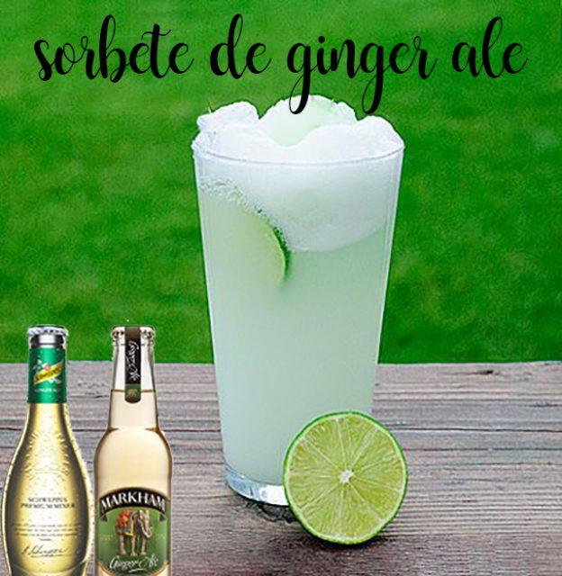 ginger ale or ginger sorbet with thermomix