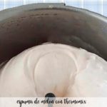 melon foam with thermomix