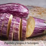 Properties, benefits and uses in the kitchen of aubergines