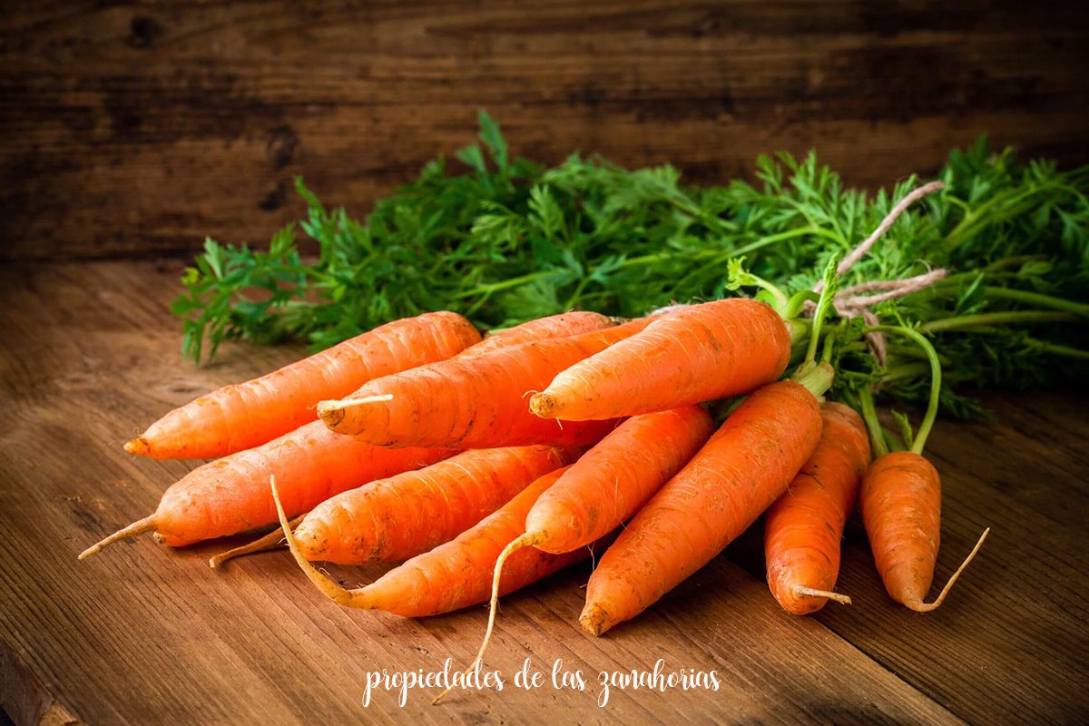 properties of carrots