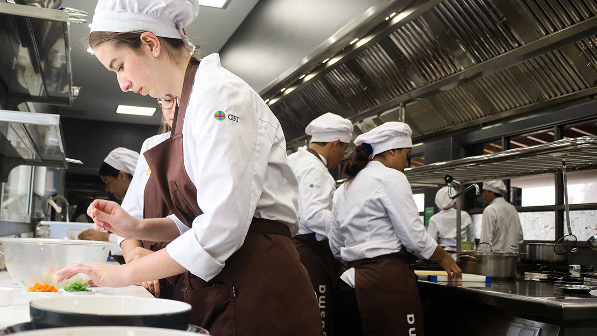 What is studied in the Gastronomy career?