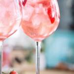 Pink Gin Spritz thermomix