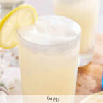 Gin Fizz thermomix