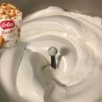 McFlurry Ice Cream with Lotus Cookies using Thermomix - McDonald's
